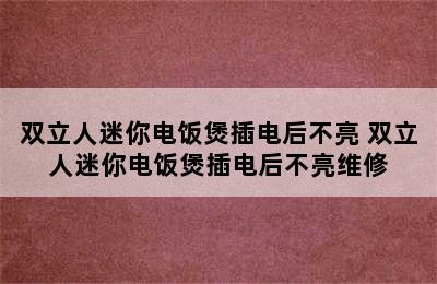 双立人迷你电饭煲插电后不亮 双立人迷你电饭煲插电后不亮维修